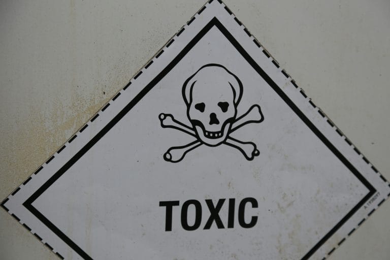 Toxic Boss? Work with Zeta Yarwood, Career Coach in Dubai